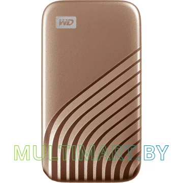 Внешний накопитель WD My Passport 1TB (WDBAGF0010BGD)
